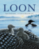 Loon