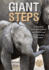 Giant Steps: a True Story From Africa, of Survival and Triumph in the Face of Cruelty