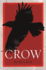 Crow Animal