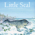 Little Seal