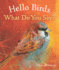 Hello Birds, What Do You Say? (Hello Animals)