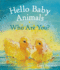 Hello Baby Animals, Who Are You? (Hello Animals)