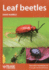 Leaf beetles