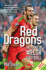 Red Dragons: the Story of Welsh Football