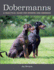 Dobermanns: a Practical Guide for Owners and Breeders