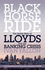 Black Horse Ride: the Inside Story of Lloyds and the Banking Crisis