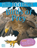 100 Facts Birds of Prey Pocket Edition  Bitesized Facts & Awesome Images to Support Ks2 Learning