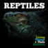 Reptiles Format: Hardcover