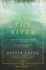 To the River: a Journey Beneath the Surface (Canons)