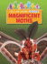 Magnificent Moths Format: Paperback