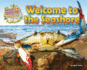 Welcome to the Seashore Format: Paperback