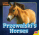 Przewalski's Horses (I Love Horses)