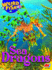 Sea Dragons