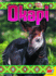 Okapi (Animals of the Rainforest)