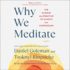 Why We Meditate: the Science and Practice of Clarity and Compassion