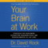 Your Brain at Work, Revised and Updated: Strategies for Overcoming Distraction, Regaining Focus, and Working Smarter All Day Long