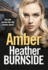 Amber: Volume 4