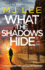 What the Shadows Hide (Di Ridpath Crime Thriller, 9)