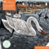 Adult Sustainable Jigsaw Puzzle Angela Harding: Southwold Swan