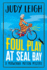 Foul Play at Seal Bay: The start of a page-turning cozy murder mystery series from MILLION COPY BESTSELLER Judy Leigh