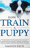 How to Train a Puppy: the Beginner's Guide to Training a Puppy With Dog Training Basics. Includes Potty Training for Puppy and the Art of Ra