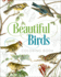 Beautiful Birds Coloring Book