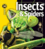 Insects & Spiders (Insiders Series)