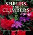 Shrubs & Climbers