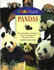 Pandas (Headstart)