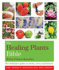 The Healing Plants Bible: Godsfield Bibles (Godsfield Bible Series)