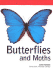 Butterflies & Moths