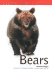 Bears-Nature Fact File