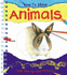 How to Draw Animals