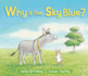 Why is the Sky Blue?