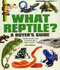 What Reptile? a Buyer's Guide-Essential Information to Help You Choose the Right Reptile Or Amphibian: 6