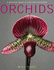 Orchids: a Practical Guide to Care and Cultivation