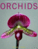 Orchids: a Practical Guide to Care and Cultivation