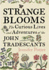 Strange Blooms: the Curious Lives and Adventures of the John Tradescants