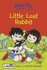 Topsy and Tim Little Lost Rabbit