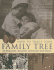 How to Trace Your Family Tree