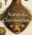 Natural Curiousities (Mega Square)