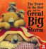 The Bears in the Bed and the Great Big Storm. Paul Bright, Jane Chapman
