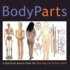 Body Parts: a Practical Sourcebook for Drawing the Human Form By Simon Jennings (2007-10-18)