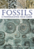 Fossils: a Photographic Field Guide