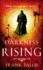 Darkness Rising: (Vienna Blood 4)