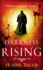 Darkness Rising: (Liebermann Papers 4)