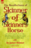 The Recollections of Skinner of Skinner's Horse James Skinner and His 'Yellow Boys' Irregular Cavalry in the Wars of India Between the British, Mahratta, Rajput, Mogul, Sikh Pindarree Forces