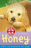 Honey: the Unwanted Puppy (Animal Rescue)