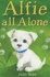 Alfie All Alone (Holly Webb Animal Stories)