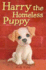 Harry the Homeless Puppy: 9 (Holly Webb Animal Stories (9))
